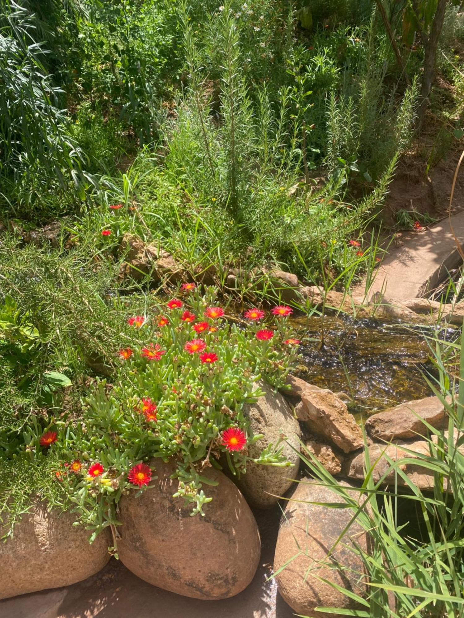 Jardin Sakina - Chambre D'Hotes Oulad Moumene 外观 照片