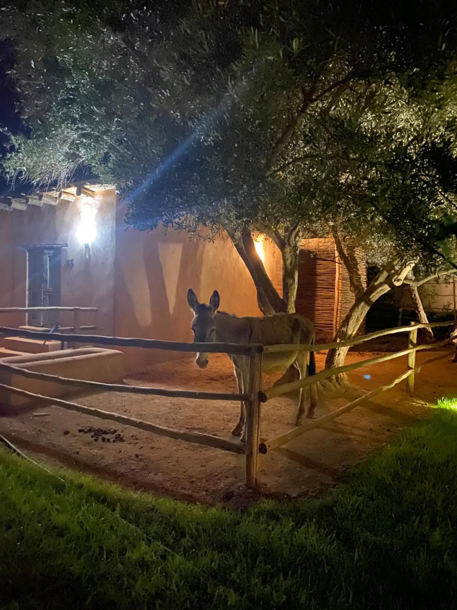 Jardin Sakina - Chambre D'Hotes Oulad Moumene 外观 照片